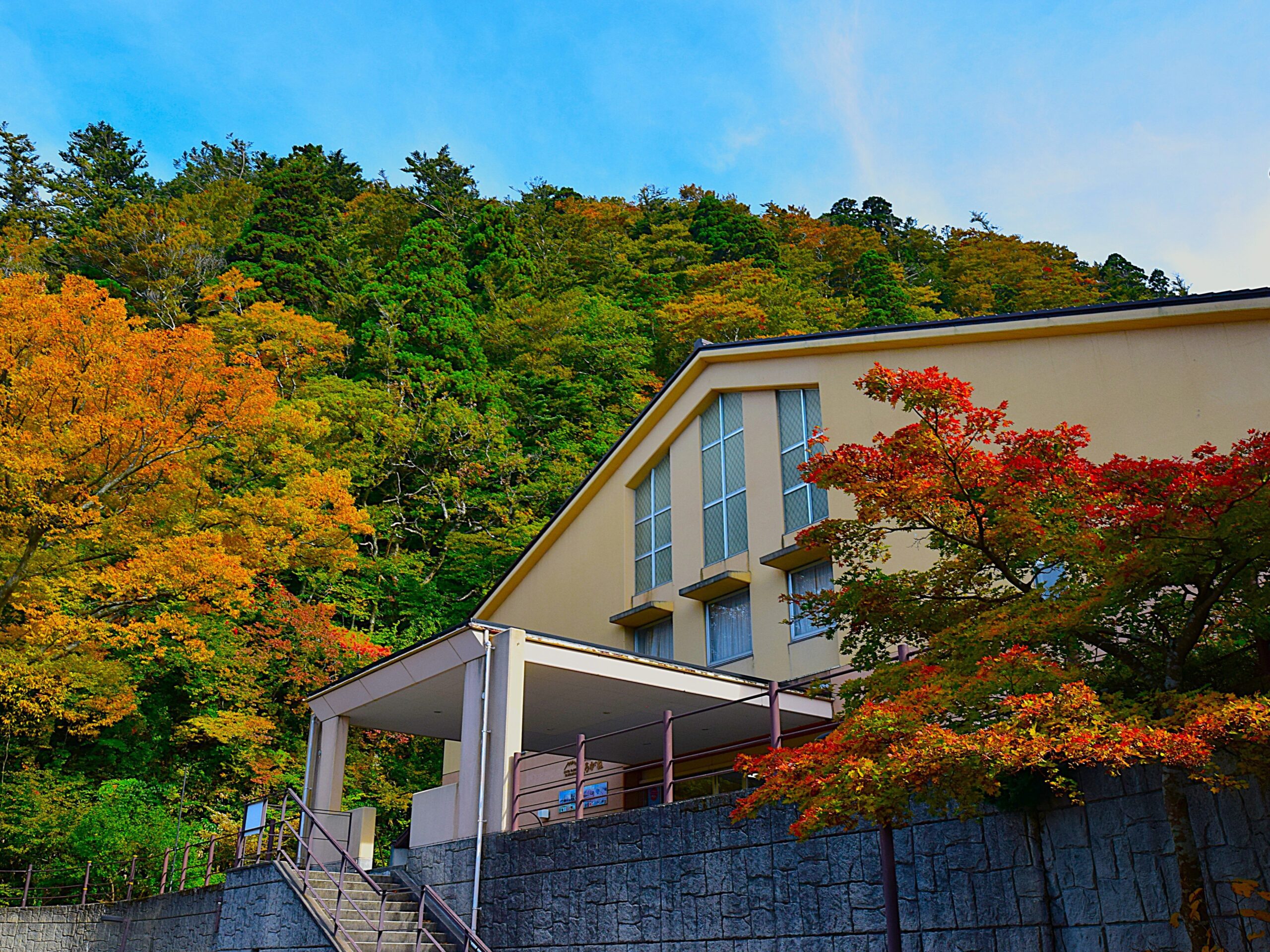 大山紅葉☆ピークです(^^)/